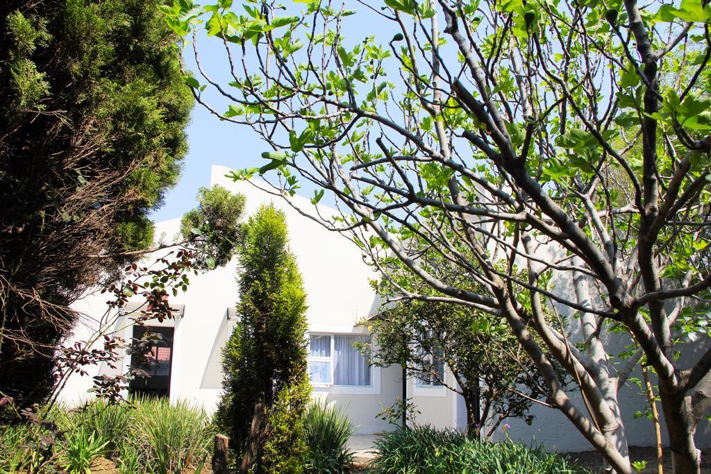 La Coscello Guest House Edenvale Exterior foto